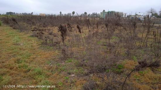  TERRENO RURAL - SEVILLA 