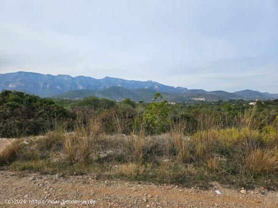 TERRENO URBANIZABLE EN LA RAPITA - TARRAGONA