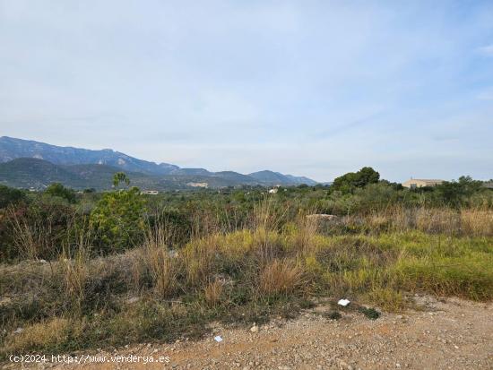 TERRENO URBANIZABLE EN LA RAPITA - TARRAGONA