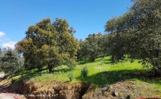 ZONA ENCINARES DE ALCOLEA - Terreno Urbano en Los Encinares de Alcolea de 350m² aproximadamente - C