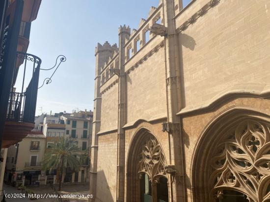 EDIFICIO EN LA LONJA - BALEARES