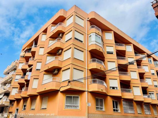  APARTAMENTO DE 3 DORMITORIOS A 200 METROS DE LA PLAYA -ZONA PLAYA DE LOS LOCOS, TORREVIEJA- - ALICAN 