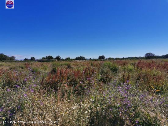 Venta Parcela rustica en Marcilla - NAVARRA