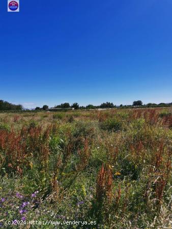 Venta Parcela rustica en Marcilla - NAVARRA