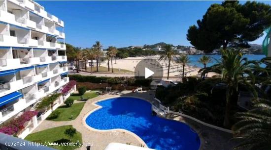 Apartamento entero de 1 dormitorio en Santa Ponça - BALEARES