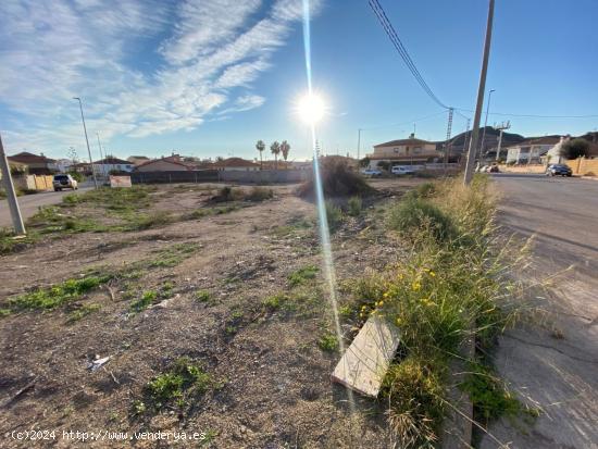 SOLAR EN CALABARDINA - MURCIA