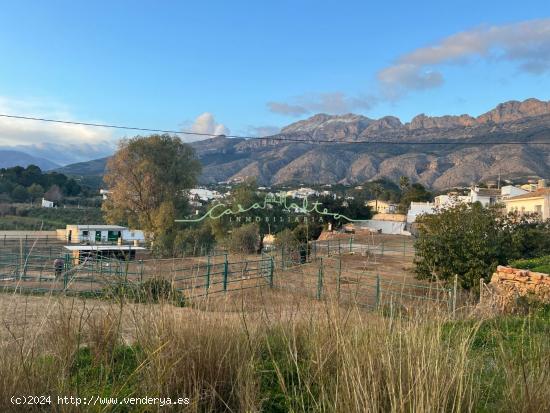 SE VENDE INSTALACION ECUESTRE EN ALTEA LA VELLA - ALICANTE