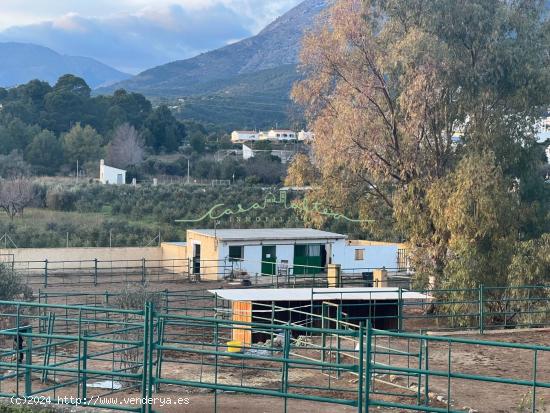 SE VENDE INSTALACION ECUESTRE EN ALTEA LA VELLA - ALICANTE