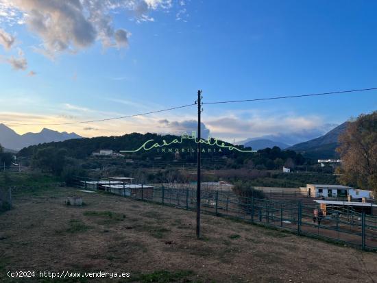 SE VENDE INSTALACION ECUESTRE EN ALTEA LA VELLA - ALICANTE