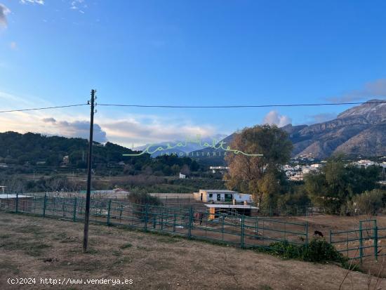 SE VENDE INSTALACION ECUESTRE EN ALTEA LA VELLA - ALICANTE