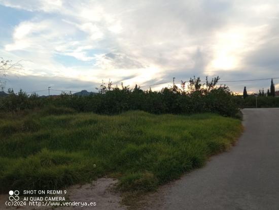 Terreno Urbanizable en la huerta de Los Ramos - MURCIA