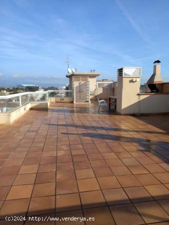 Se Vende en Palma de Mallorca - BALEARES