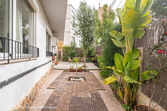 Planta Baja con Amplia Terraza en San Agustín - BALEARES