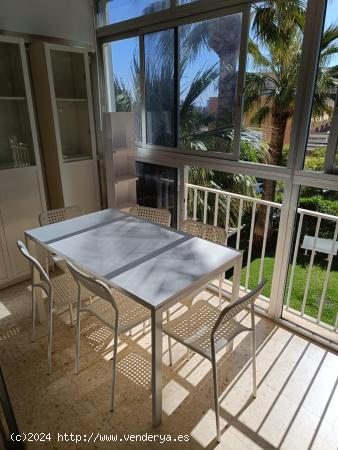 VENTA PISO EXCELENTE UBICACION. - ALICANTE