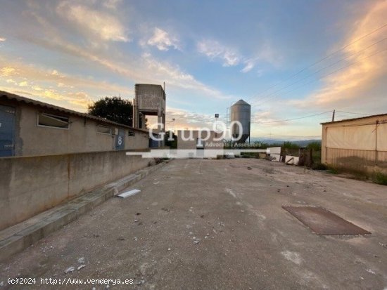 Granja para explotación de cerdos en Santa Bárbara