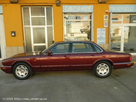 JAGUAR XJ8 en venta en AlcarrÃ s (Lleida) - AlcarrÃ s