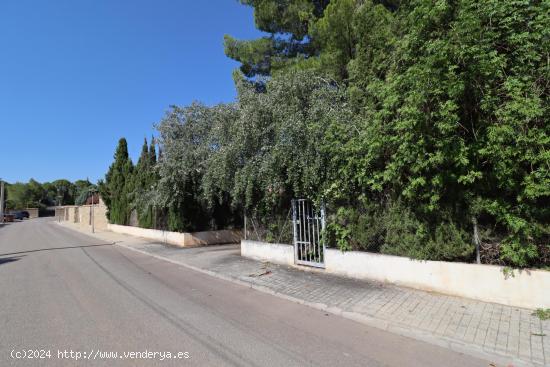 Parcela en la urbanización La Masía - VALENCIA