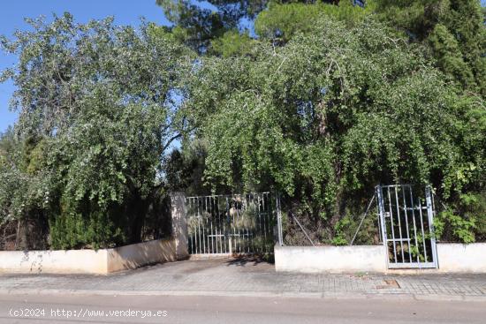 Parcela en la urbanización La Masía - VALENCIA