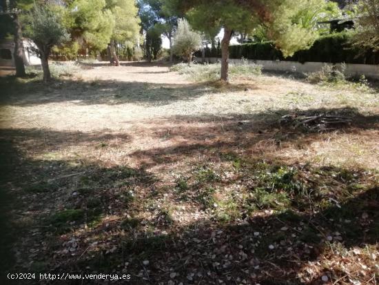 Parcela en la urbanización La Masía - VALENCIA