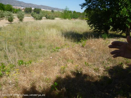 PARCELA  ALQUERIA LERIS - ONTINYENT - VALENCIA