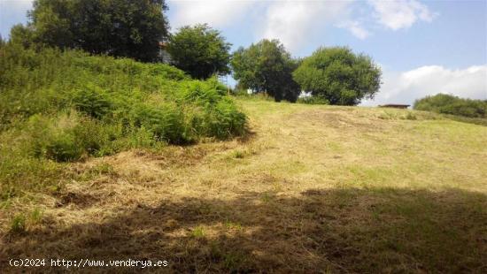 PARCELA DE TERRENO CON PROYECTO - CANTABRIA