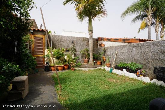 Dúplex con jardín  en Tacoronte. - SANTA CRUZ DE TENERIFE