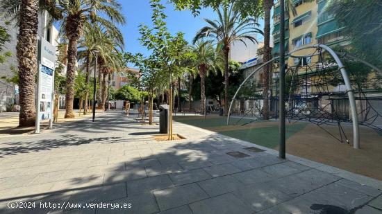 LOCAL EN VENTA EN PLAZA CASTELLON ALICANTE - ALICANTE