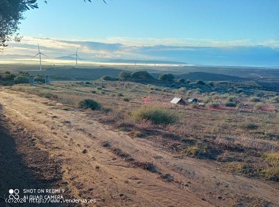 Finca de 5 hectáreas de superficie, muy cerca de l... - CADIZ