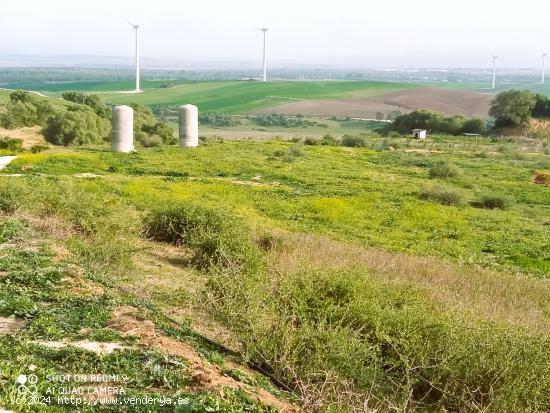 Finca de 5 hectáreas de superficie, muy cerca de l... - CADIZ