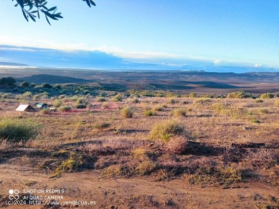 Finca de 5 hectáreas de superficie, muy cerca de l... - CADIZ