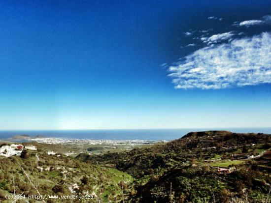 Se Vende en Las Palmas de Gran Canaria - LAS PALMAS