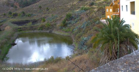 Se Vende en Las Palmas de Gran Canaria - LAS PALMAS