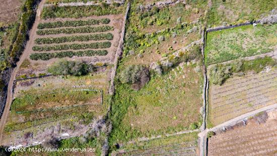 Suelo Rústico de Protección Agraria - SANTA CRUZ DE TENERIFE