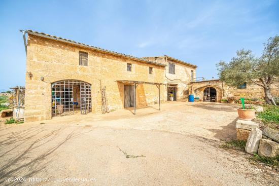 Finca rústica con molino en S'Aranjassa, Palma. - BALEARES