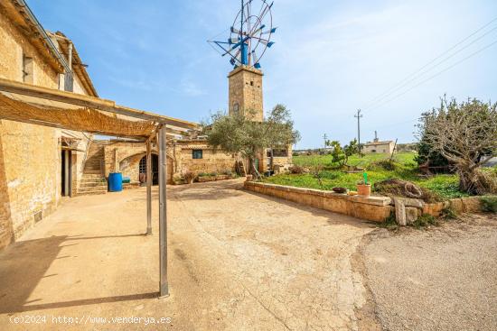 Finca rústica con molino en S'Aranjassa, Palma. - BALEARES