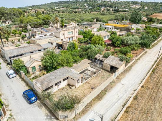 Terreno Urbano en Manacor - BALEARES