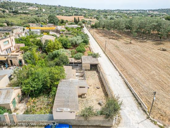 Terreno Urbano en Manacor - BALEARES