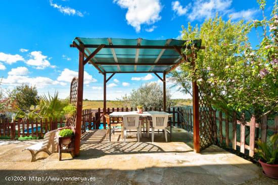 PRECIOSO CHALET INDEPENDIENTE DE TRES PLANTAS CON PISCINA - TOLEDO