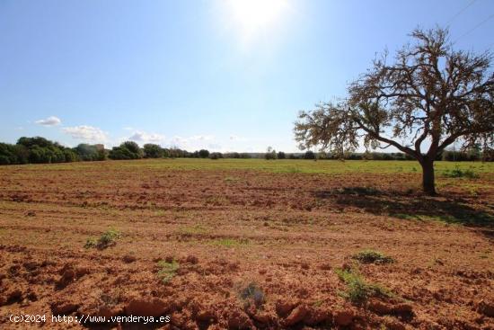 Terreno cerca de Campos en una zona muy tranquila - BALEARES