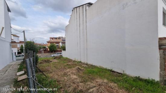 PARCELA EN SAN RAFAEL DE LA ALBAIDA  ( CORDOBA ) - CORDOBA