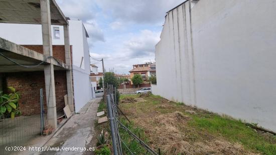 PARCELA EN SAN RAFAEL DE LA ALBAIDA  ( CORDOBA ) - CORDOBA