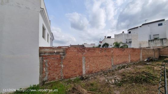 PARCELA EN SAN RAFAEL DE LA ALBAIDA  ( CORDOBA ) - CORDOBA