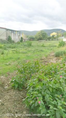 SE VENDE SOLAR EN TORAL DE LOS VADOS - LEON