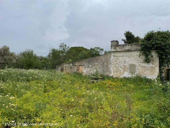 PARCELA SEGREGADA EN MARQUESADO CON CONSTRUCCIÓN REGISTRADA PARA REFORMAR - CADIZ