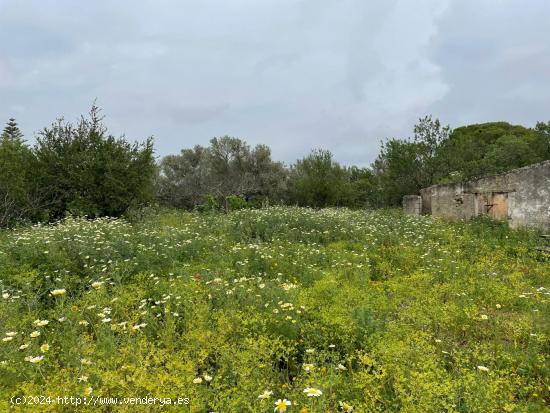 PARCELA SEGREGADA EN MARQUESADO CON CONSTRUCCIÓN REGISTRADA PARA REFORMAR - CADIZ