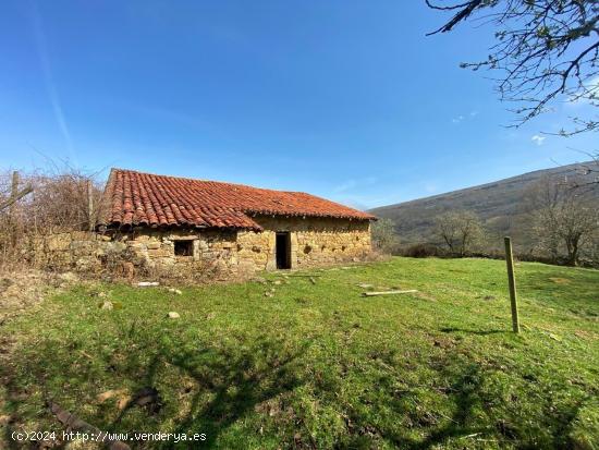  CABAÑA EN PARQUE NACIONAL RESERVA DEL SAJA - CANTABRIA 