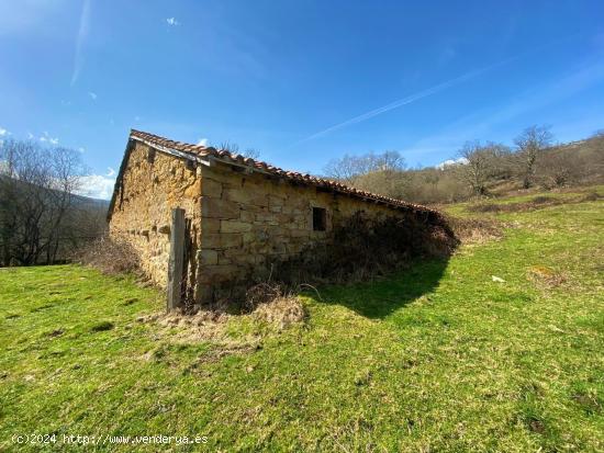 CABAÑA EN PARQUE NACIONAL RESERVA DEL SAJA - CANTABRIA