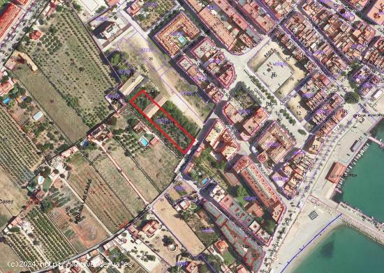 Terreno les Cases d'Alcanar - TARRAGONA