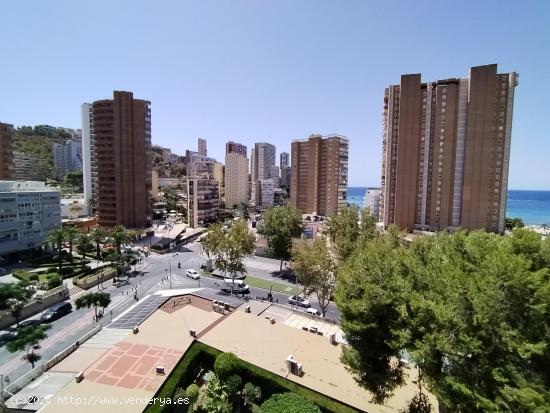  Precioso estudio situado en la Avenida Mediterraneo. Reformado. con parkin y piscina. - ALICANTE 