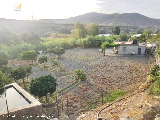  FINCA CON CORTIJO - GRANADA 